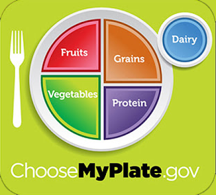 My Plate Infographic 